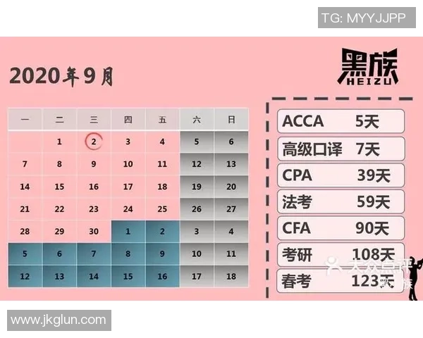 上海排球队逆袭之路揭秘大师赛特别报道展现奋斗精神与团队力量