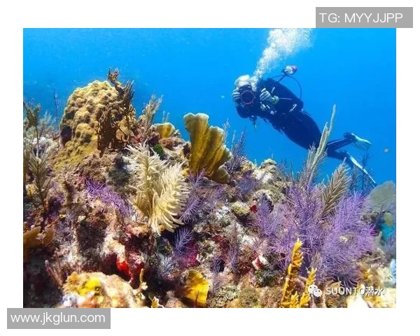 海上足球场的奇幻旅程探索海洋与运动的完美结合