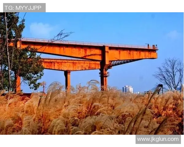 芦苇足球:在自然与运动交融中探索生态体育的新魅力与发展潜力 芦苇足球:在自然与运动交融中探索生态体育的新魅力与发展潜力